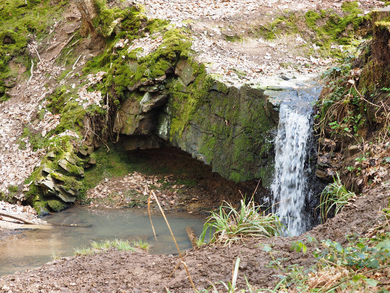 Waterfall in Bell Brook Mick Farmer.JPG