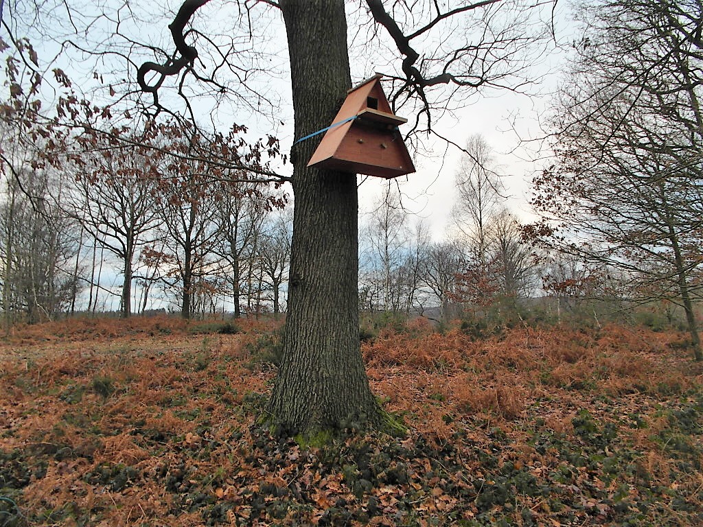 Owl box 2.jpg