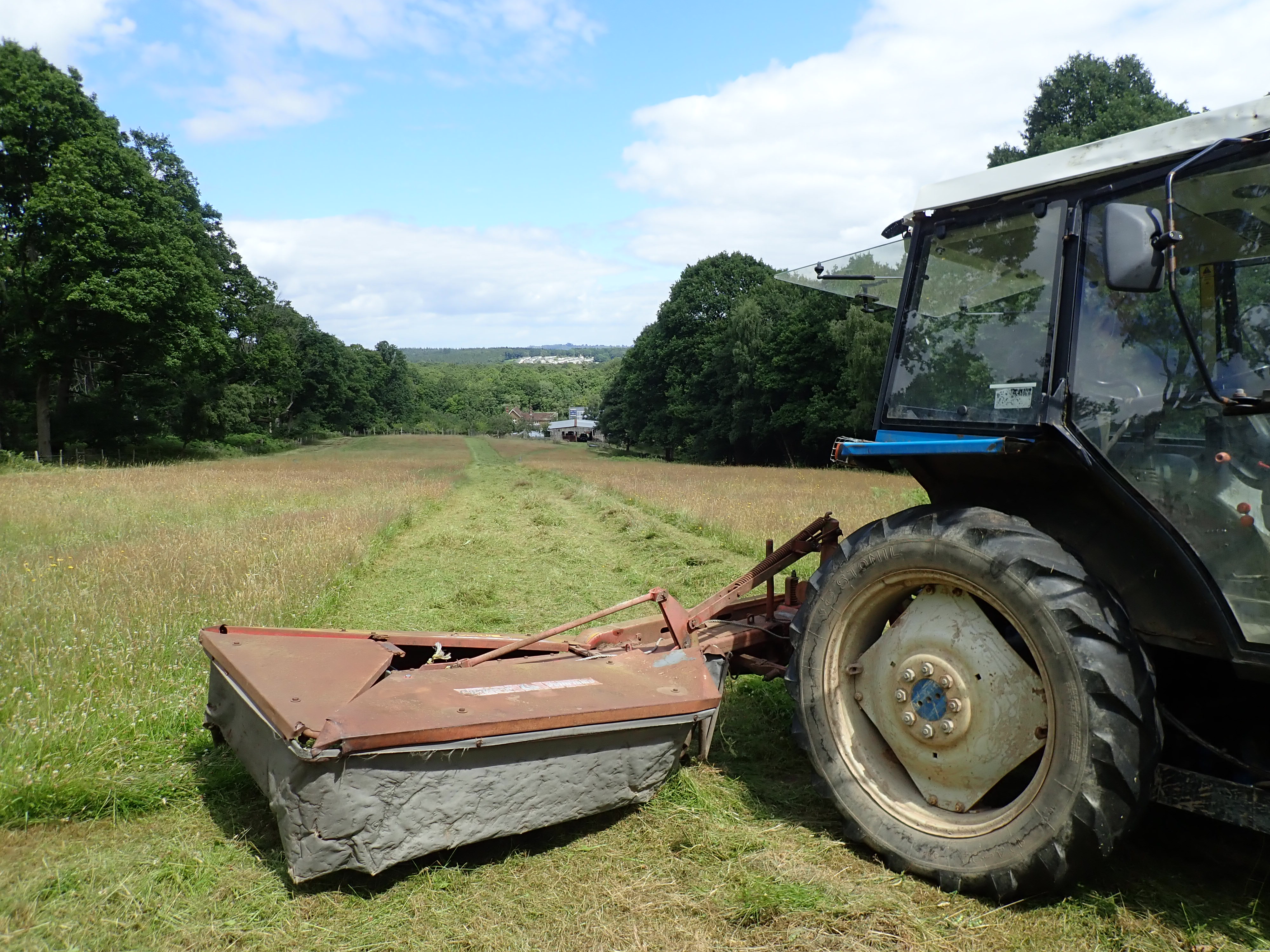 Hay making time cutting the grass.JPG