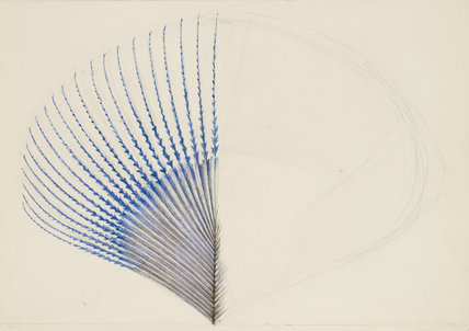 ruskin kingfisher's wing feather.jpg