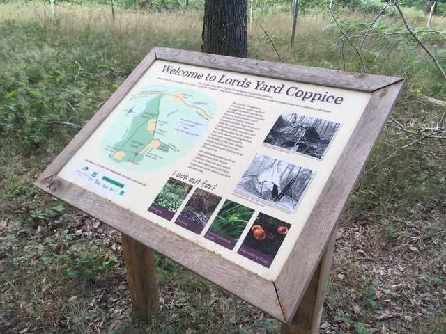 Ruskin Land interpretation board.jpeg