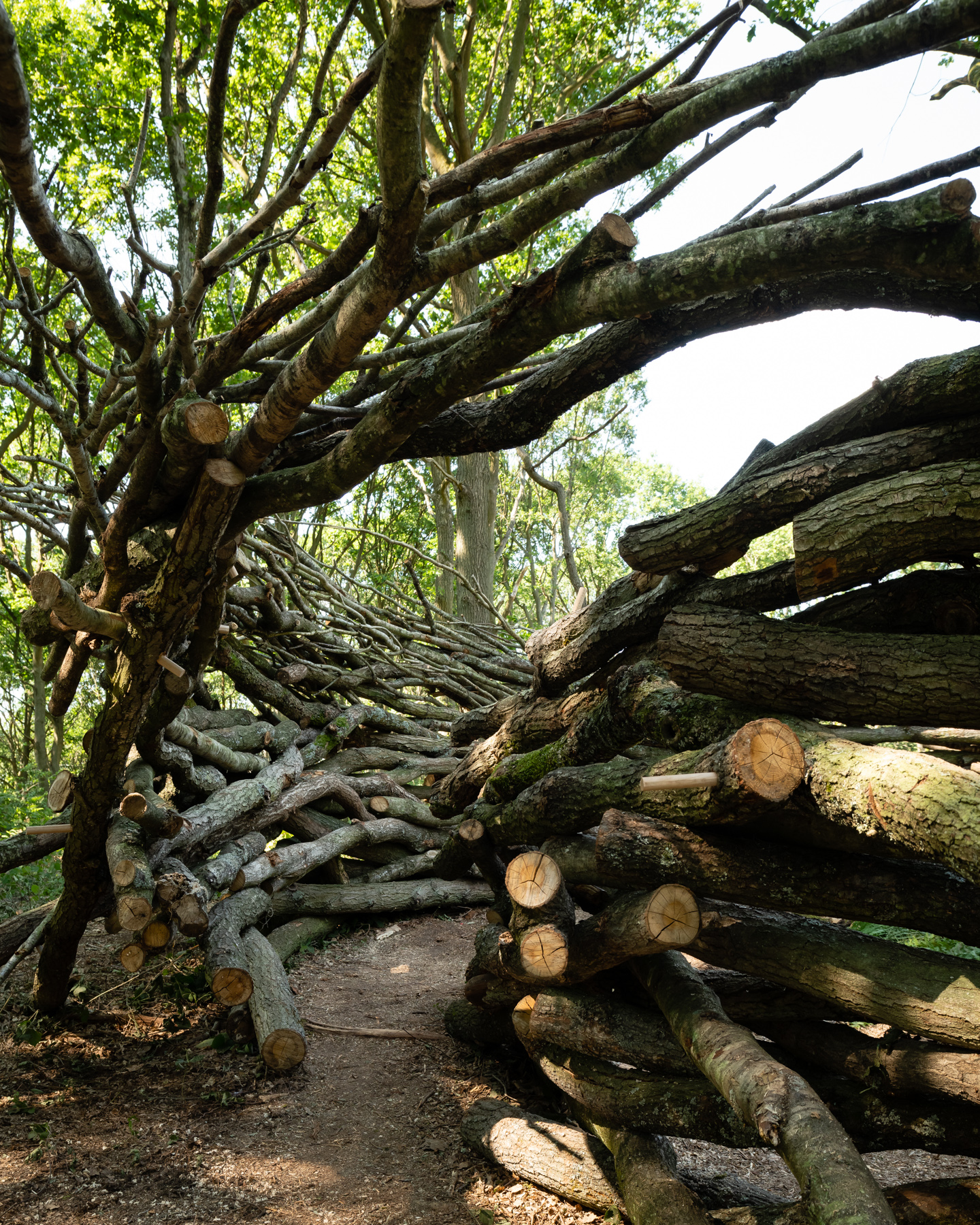 Tolkien readings and a walk on Ruskin Land