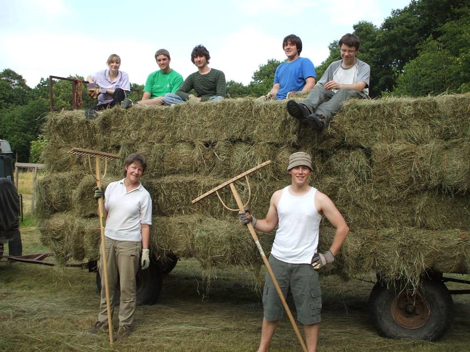 Haymaking.jpg