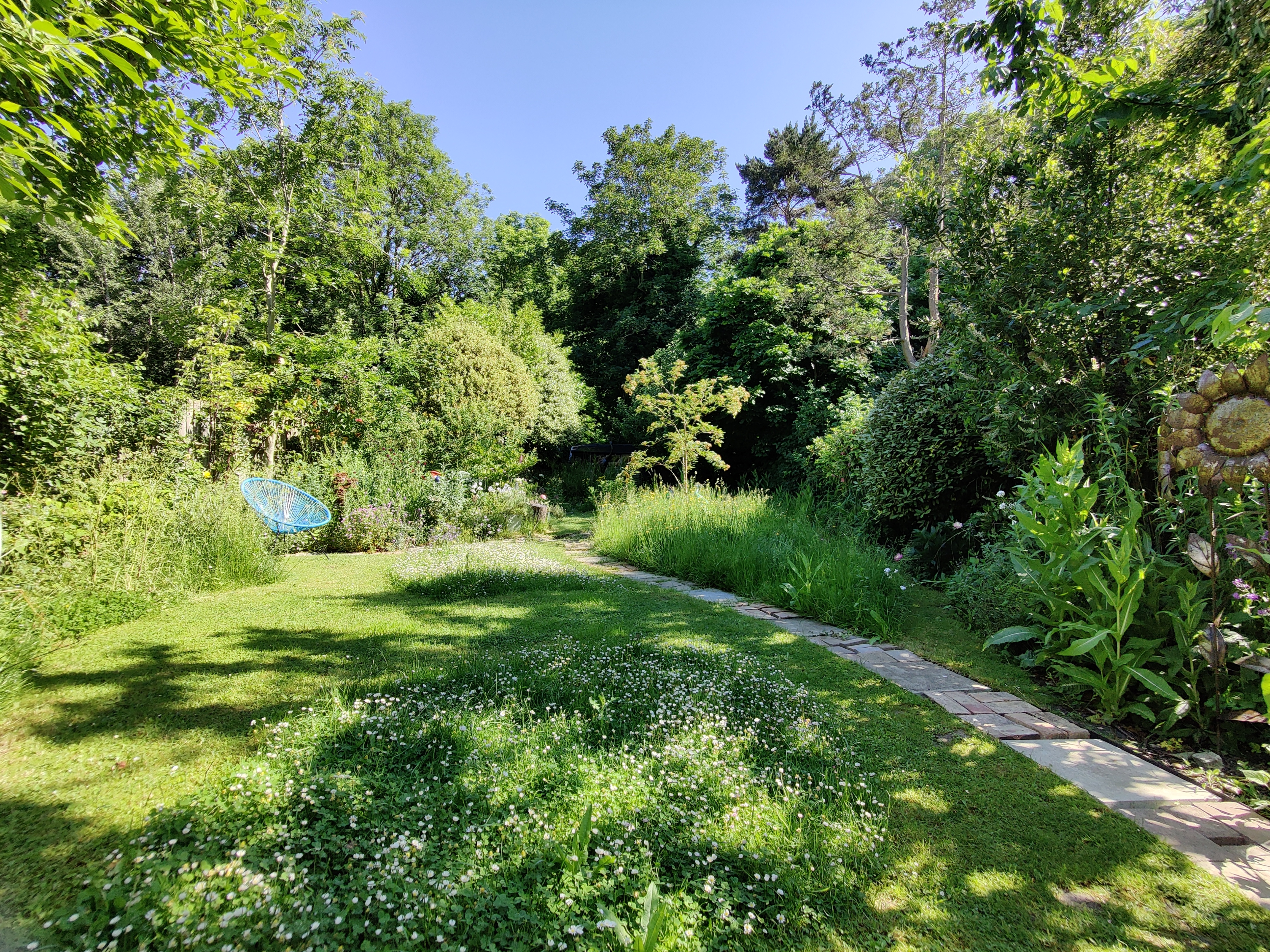My Wildlife Garden beside the Wandle.jpg