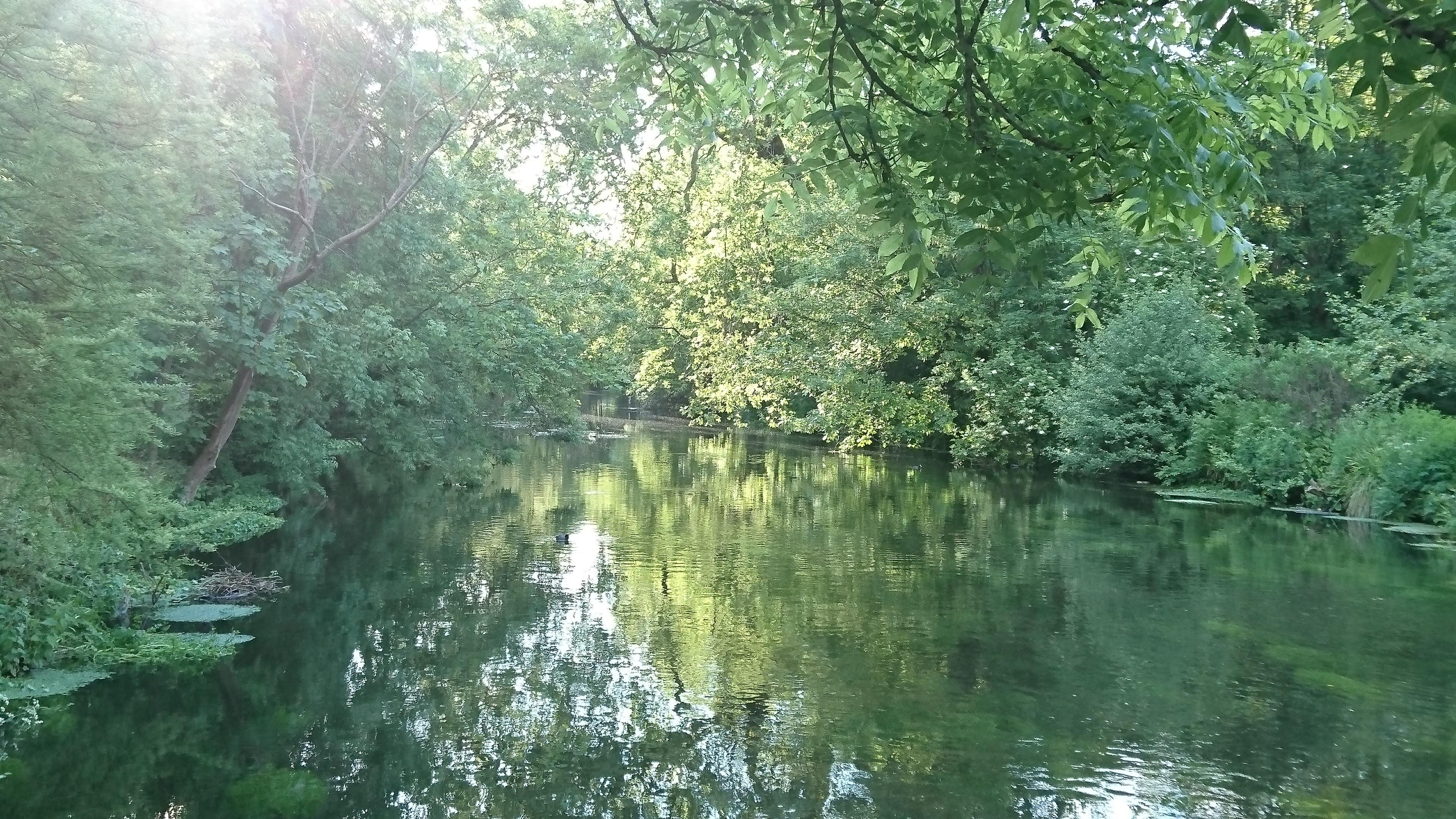 The River Wandle.JPG