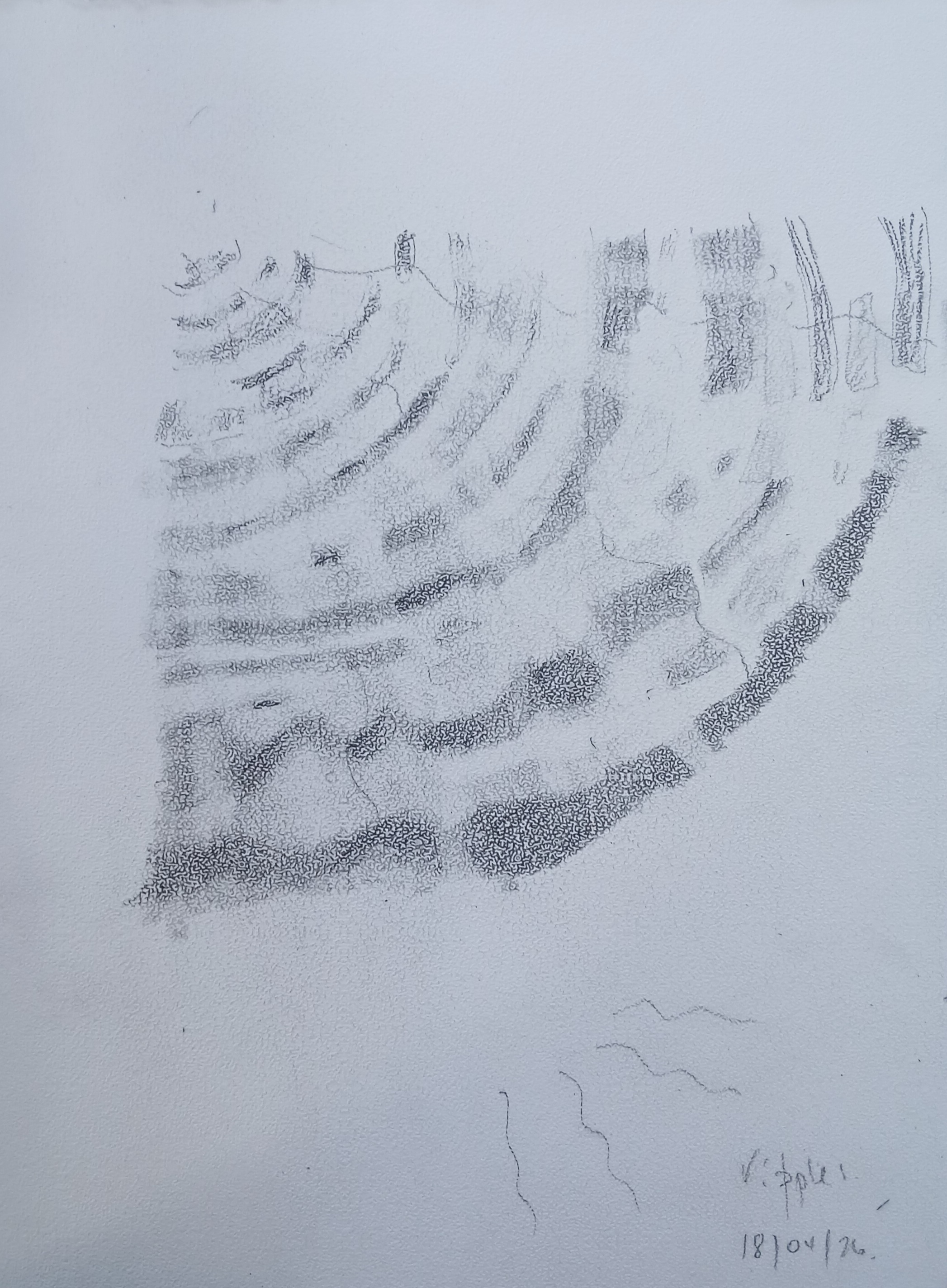 1000027416.jpg
