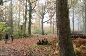 The Guild's landholding, Ruskin Land - a talk by Mark Cleaver