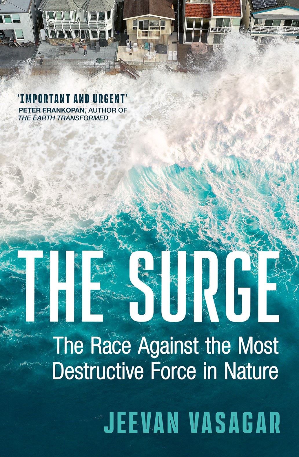 THE SURGE book cover.jpeg